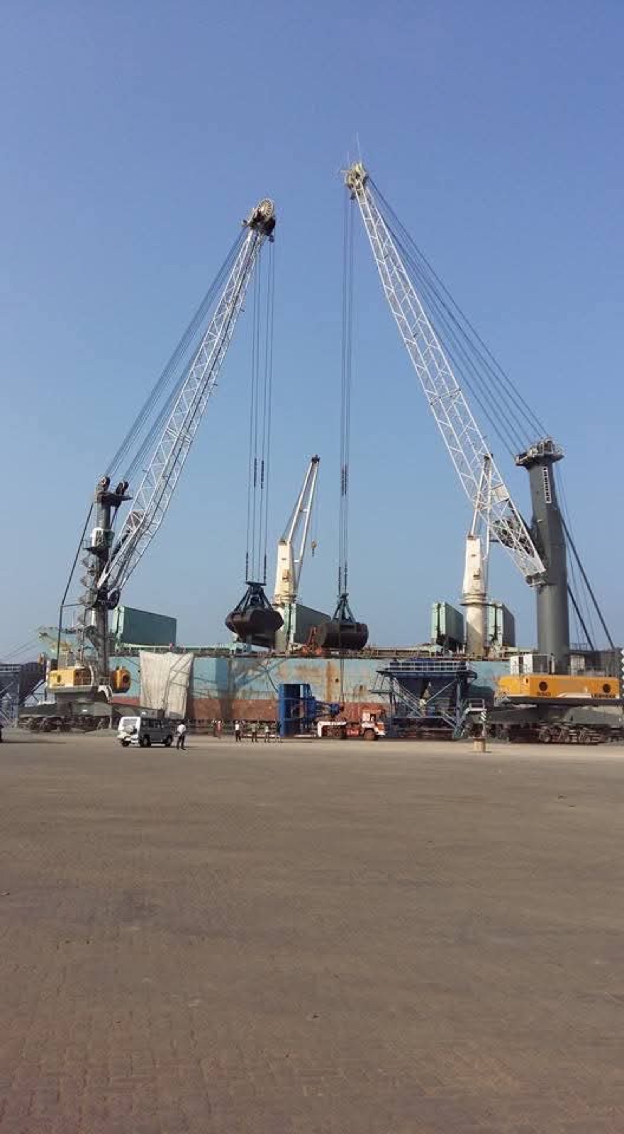 Multi crane bulk material handling